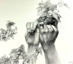 デッサンコース